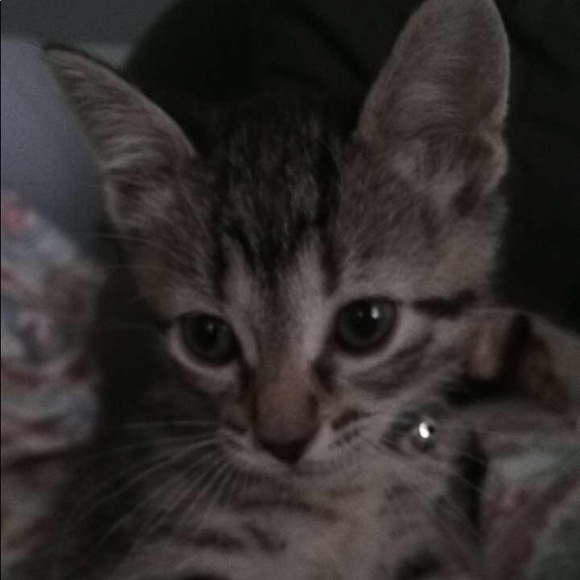 Meet your Posher, Tadhg - Picture 1 of 1